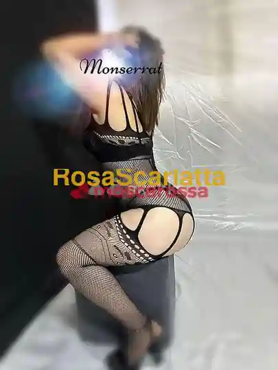 Seconda immagine della gallery