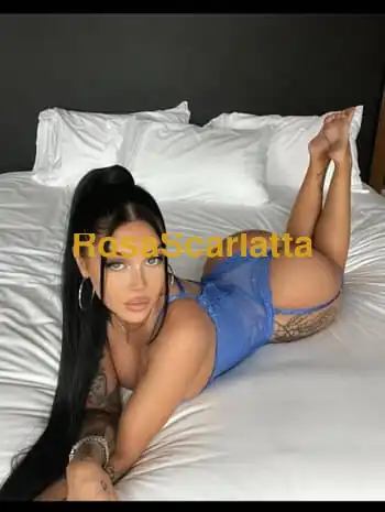 Stella