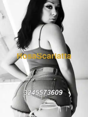 Gloria regina del salento - Trans Gallipoli