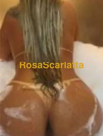Catarina