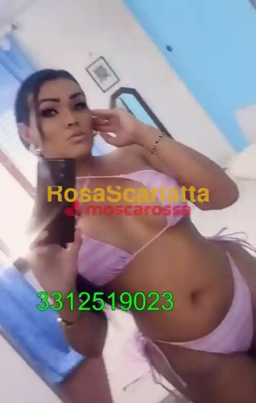 Foto 3 di Katalina trans, trans a Bologna