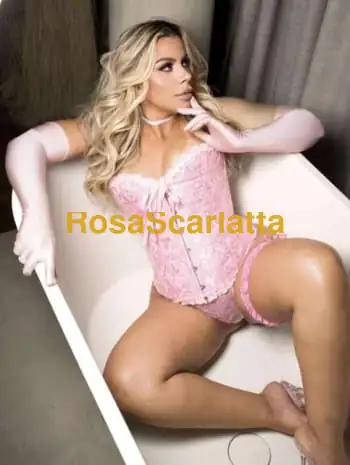 Lais tre brasil
