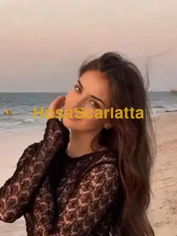 New