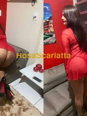 Serena - Alba Adriatica