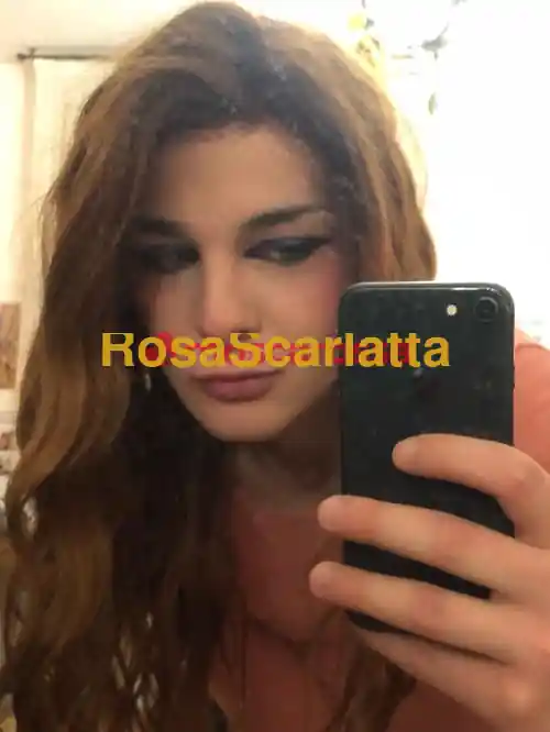 Foto 2 di Patty di bolo, trans a Bologna