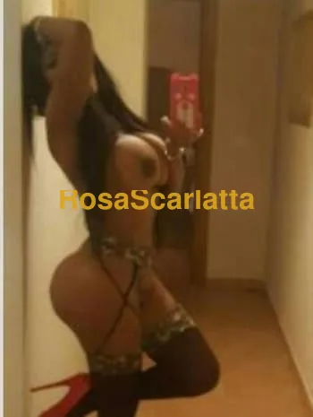 Ambra