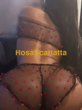 Lupe zona piazza della liberta