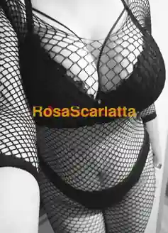 Foto 3 di Martina, escort a Nola