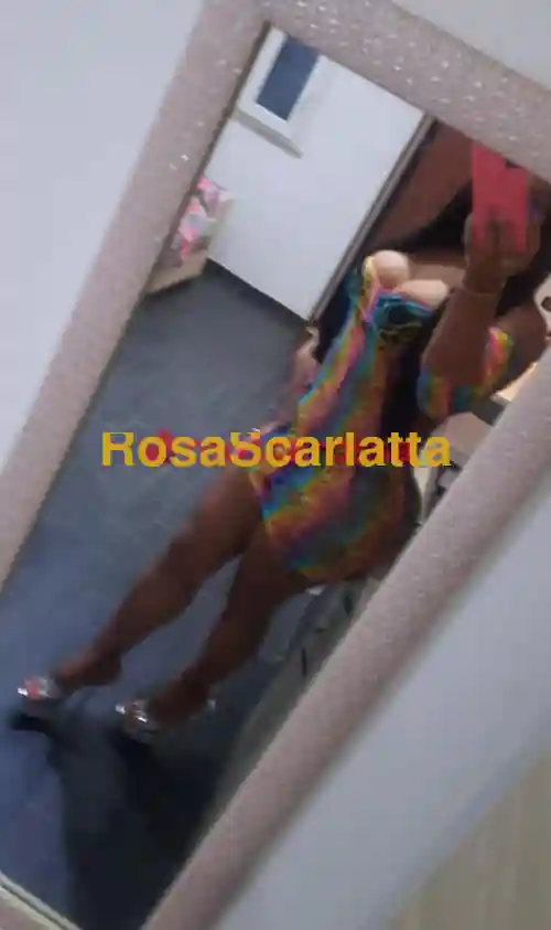 Seconda immagine della gallery