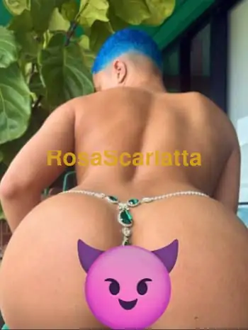 Angel - Trans Pontedera