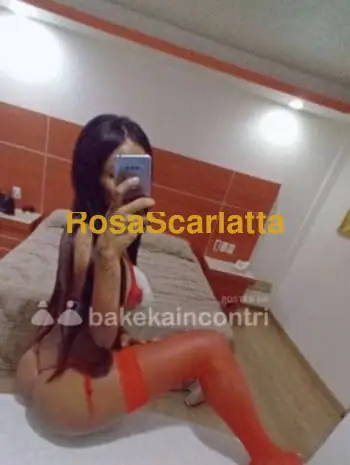 Alexa trans