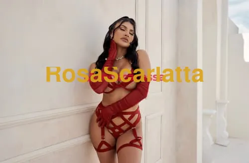 Foto 3 di Adda, escort a Gallarate