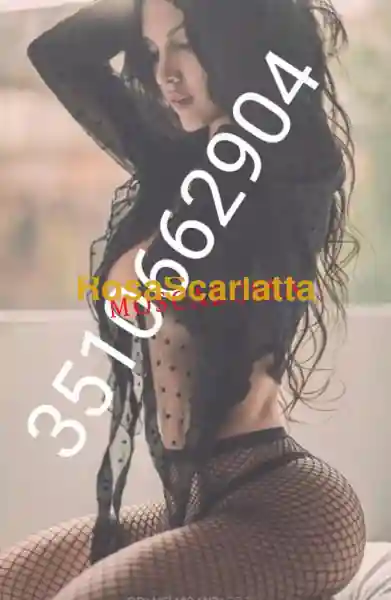 Foto 2 di Venere, escort a Campobasso