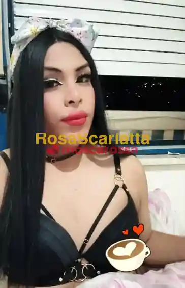 Foto 3 di Kamila, trans a Torino