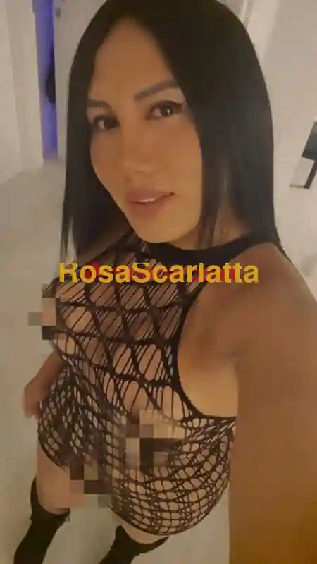 Foto 3 di Katherin, trans a Jesolo