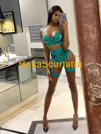 Valeria top trans