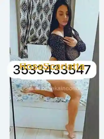 New