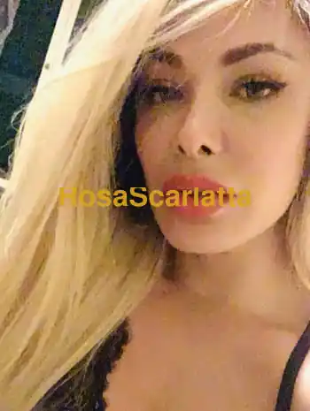 Greta vulcano trans - Ascoli Piceno