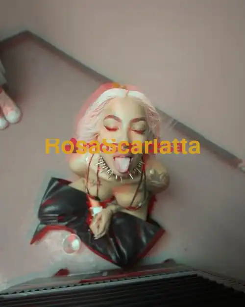 Foto 2 di Jasmine, trans a Venezia