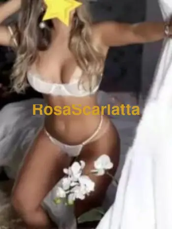 Foto 1 di Giulia, escort a Bologna