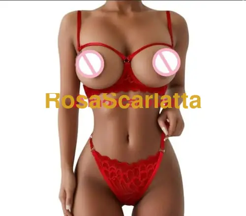 Foto 3 di Diana, escort a Alba