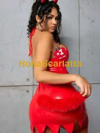 Beyonce - Trans Formia