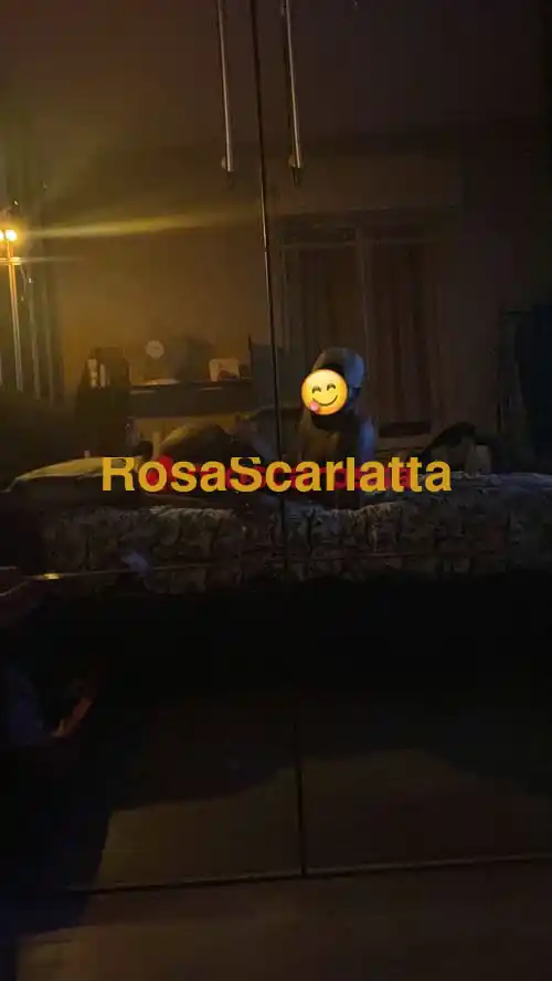 Foto 3 di Moncalieri calda, trans a Moncalieri