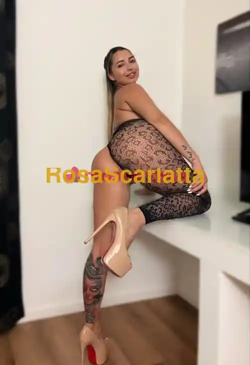 Terza immagine della gallery