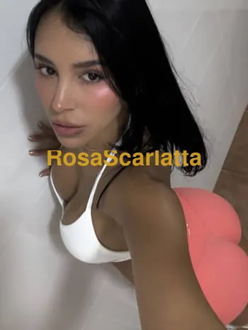 Valentina - Escort Latina