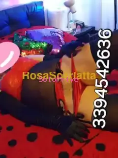 Renata