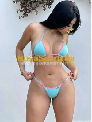 New