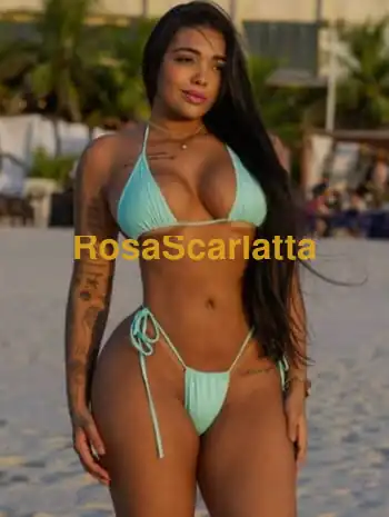 Taina brasil
