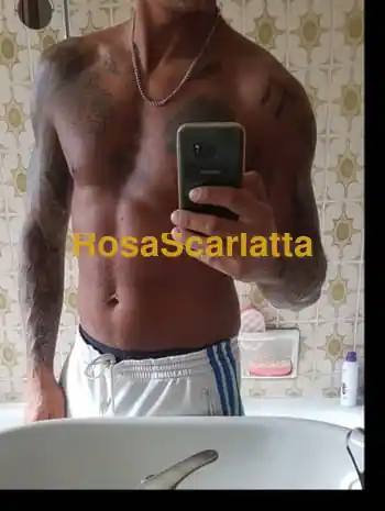 Maxiss