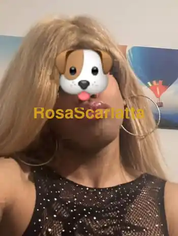 Yasmin - Trans Bergamo