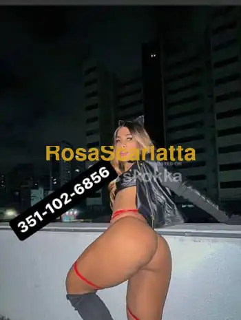 Nicol