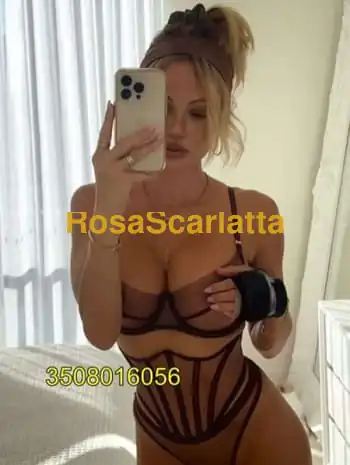 New