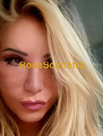 manutrans italiana