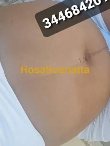 Suna
