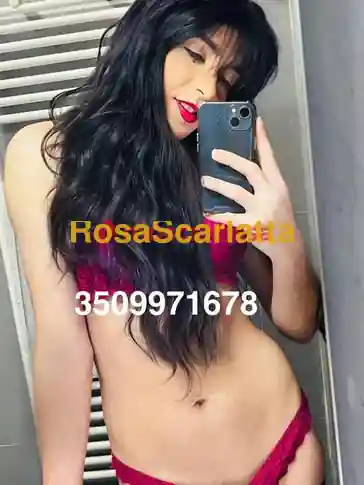 Foto 3 di Paola casarsa della delizia, trans a Pordenone