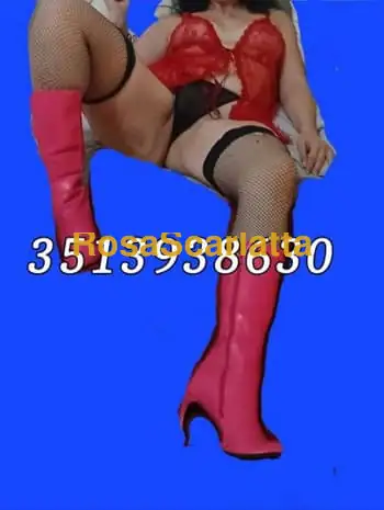 Vanessa italiana - Bologna