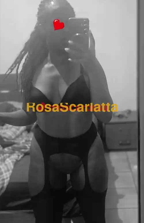 Foto 3 di Ladylove, escort a Brescia