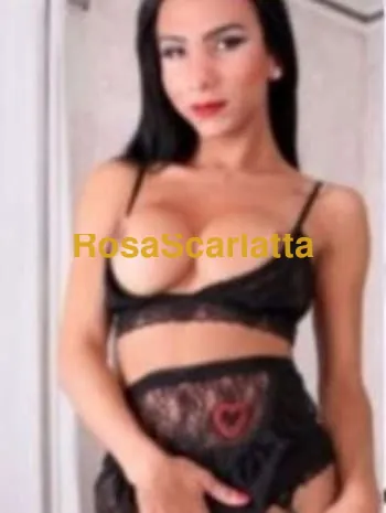 Katarina