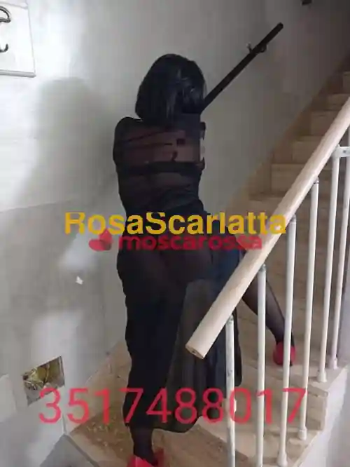 Foto 2 di Gaia, escort a Qualiano