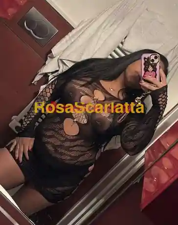 Seconda immagine della gallery