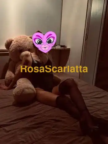 Leyla
