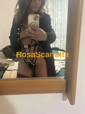 Stefany