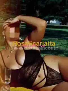 Sarda