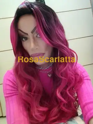 Ale top trans