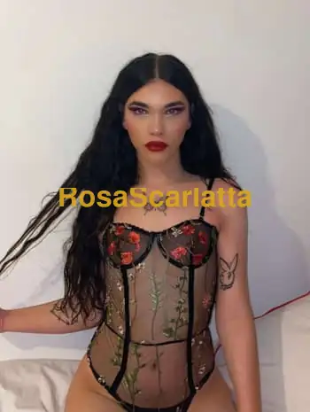 Sara - Trans Foligno