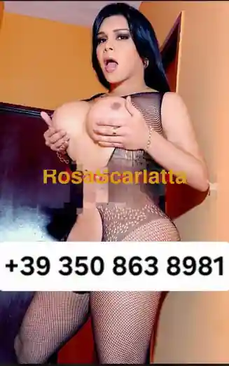 Foto 2 di trans a Alessandria